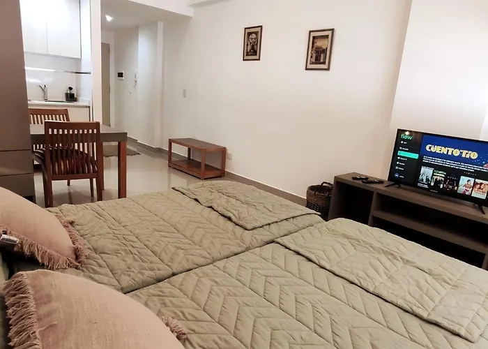 Modern Studio In San Telmo Num4036